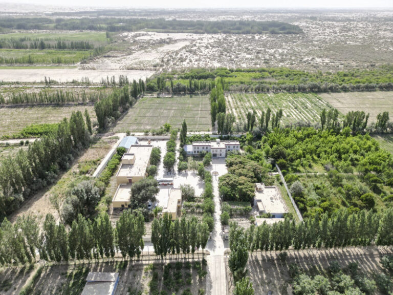 marele-zid-verde-al-chinei:-proiectul-urias-cu-care-guvernul-chinez-incearca-sa-opreasca-extinderea-unor-deserturi-de-marimea-alaskai