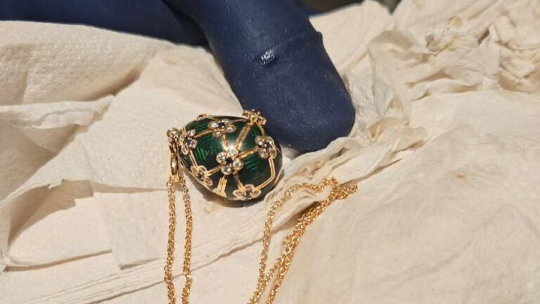 colierul-cu-un-ou-faberge-inghitit-de-un-hot-in-noua-zeelanda,-recuperat-dupa-o-asteptare-de-sase-zile