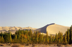RECORD DATE NOT STATED China: The singing sand dunes of Mingsha Shan (Mingsha Hills) in the Kumtagh Desert, Gansu Provin