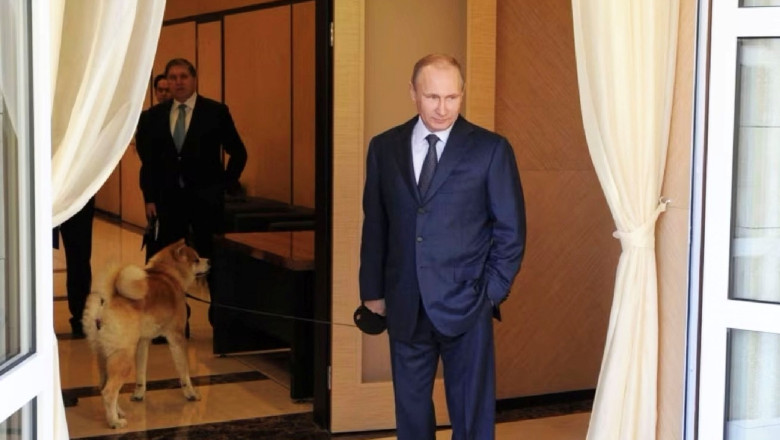 putin-isi-intareste-securitatea-la-resedinta-din-soci-de-teama-dronelor.-interdictii-neobisnuite-pentru-locuitorii-din-zona putin-isi-intareste-securitatea-la-resedinta-din-soci-de-teama-dronelor.-interdictii-neobisnuite-pentru-locuitorii-din-zona