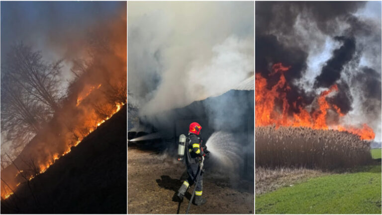 barbat-mort-intr-un-incendiu-de-vegetatie-in-bihor.-peste-120-de-hectare-au-fost-cuprinse-de-flacari-in-weekend