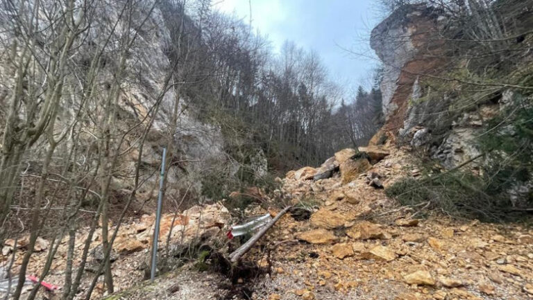 alunecare-de-teren-la-pietrele-lui-solomon,-in-brasov:-exista-riscul-prabusirii-unor-arbori