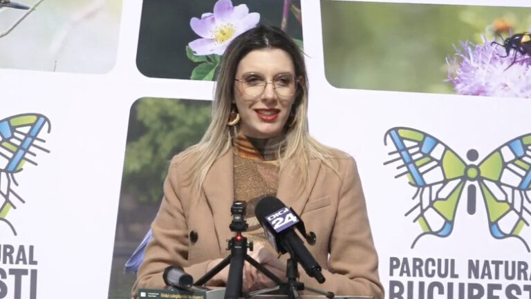 diana-buzoianu:-padurea-baneasa-poate-fi-parc-natural,-arie-protejata.-cand-vom-avea-documentele,-ministerul-mediului-va-face-acest-pas