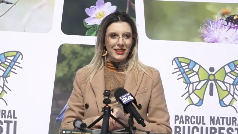 diana-buzoianu:-padurea-baneasa-poate-fi-parc-natural,-arie-protejata.-cand-vom-avea-documentele,-ministerul-mediului-va-face-acest-pas diana-buzoianu:-padurea-baneasa-poate-fi-parc-natural,-arie-protejata.-cand-vom-avea-documentele,-ministerul-mediului-va-face-acest-pas