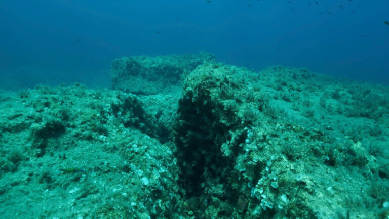 descoperirea-„oxigenului-intunecat”-in-adancurile-marine-„contravine-in-mod-fundamental-termodinamicii”