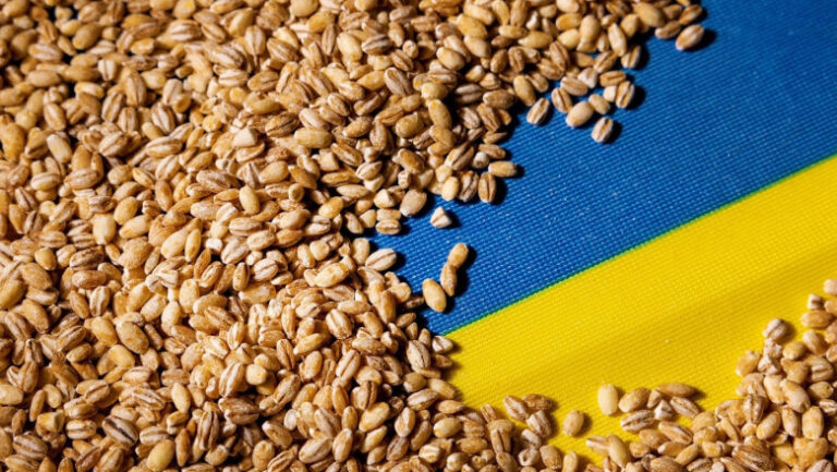 cum-au-inselat-doi-administratori-din-oradea-firme-din-slovacia-si-lituania-cu-aproape-un-milion-de-euro