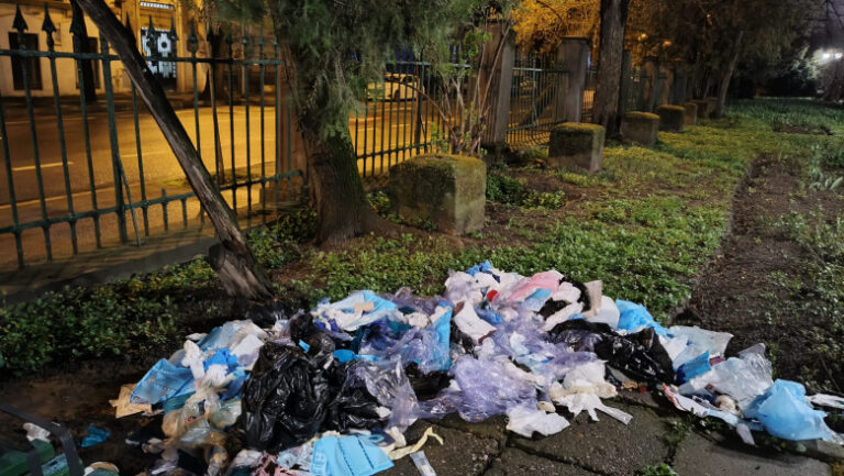 deseuri-medicale-aruncate-in-parcul-cismigiu:-o-clinica-stomatologica-din-bucuresti-a-fost-amendata-cu-70.000-de-lei