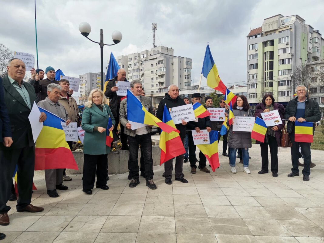 val-de-reactii-dupa-ce-mii-de-albine-s-au-asezat-pe-o-masina,-blocand-accesul-la-o-banca,-in-alexandria:-„daca-si-ele-trag-la-bmw…”