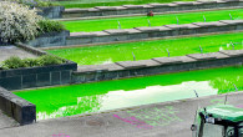 21 mai 2026, Hamburg: Apa fântânilor din parcul Planten un Blomen a fost colorată în verde. În fața acestora poate fi văzut sloganul „Din păcate, nu verde”, scris cu spray. Foto: Profimedia Images | Poza 3 din 7